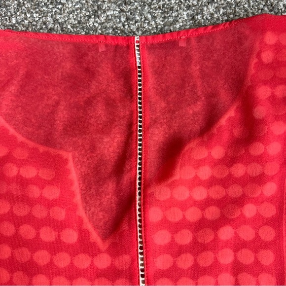 Collective Concepts Sheer Coral Blouse White Embroidered Polka Dots, Size Large - Picture 9 of 9